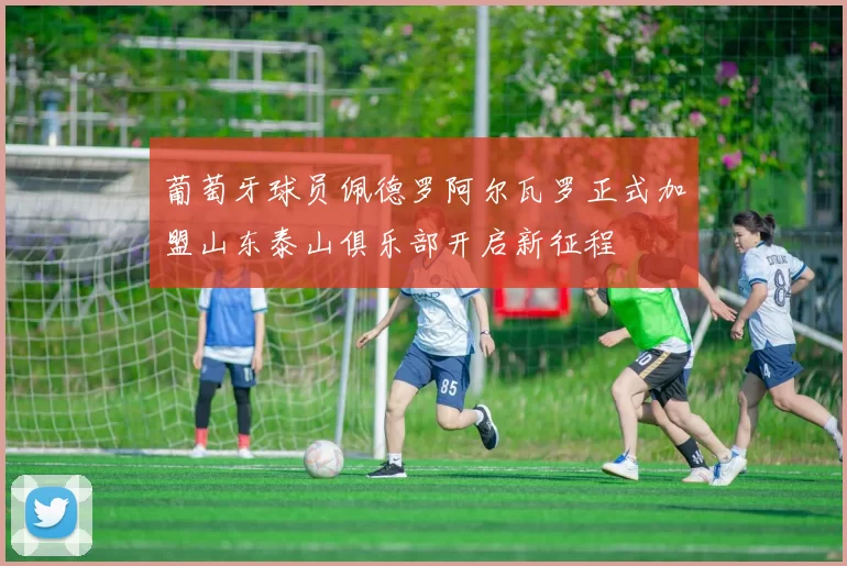 葡萄牙球员佩德罗阿尔瓦罗正式加盟山东泰山俱乐部开启新征程